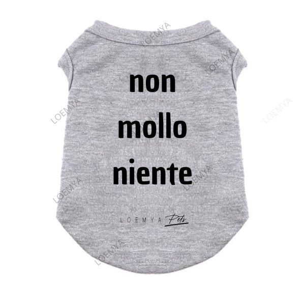 shirt pet non mollo niente
