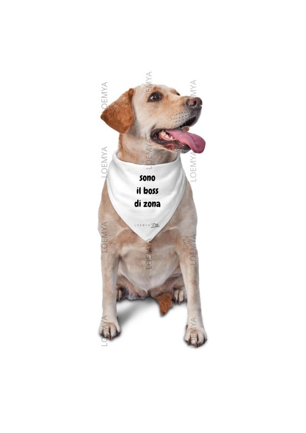 bandana boss - immagine 2