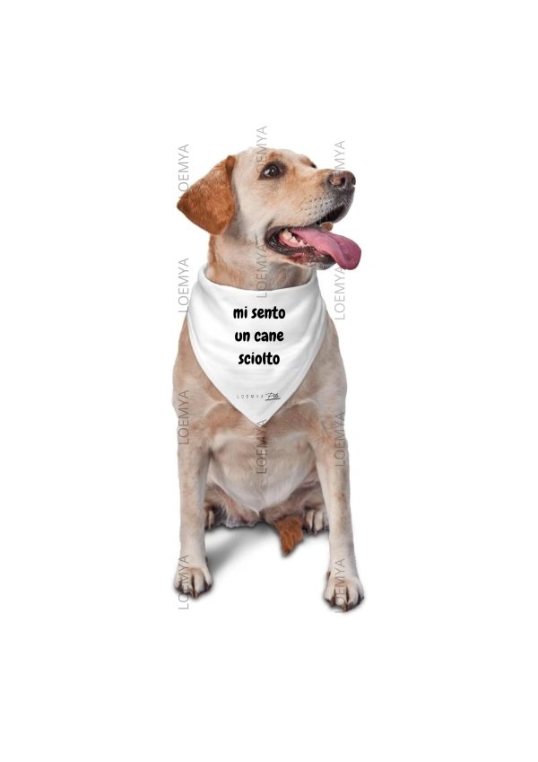 bandana cane sciolto - immagine 2